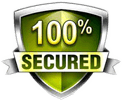 100% Secure logo